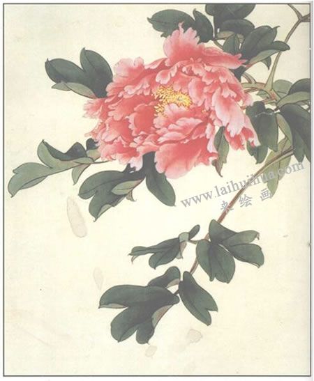 粉红牡丹的工笔画法步骤04