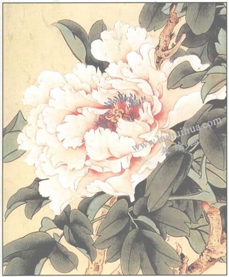 白牡丹的工笔画法步骤03
