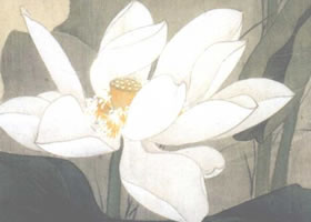 白色荷花的工笔画法步骤