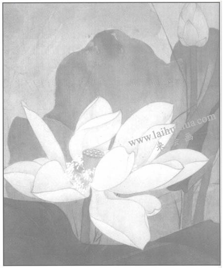 工笔花卉：白色荷花的工笔画法步骤（染底色）