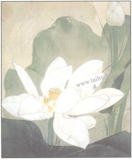 工笔花卉：白色荷花的工笔画法步骤03