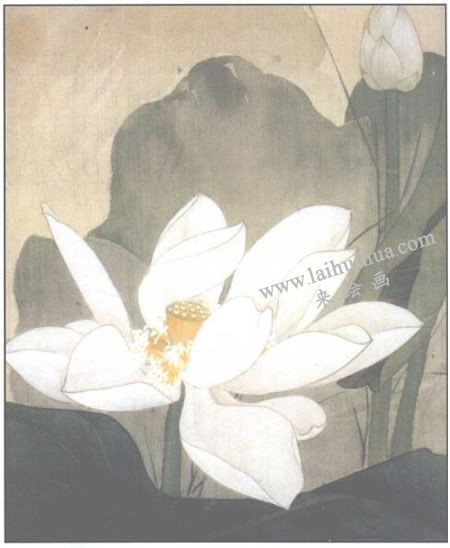 白色荷花的工笔画法