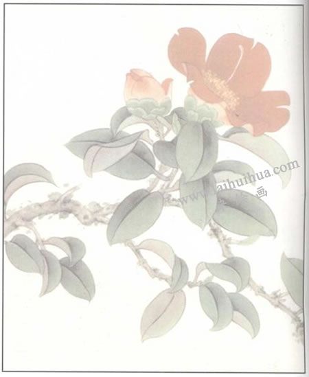 山茶花的工笔画法步骤02