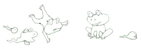 油画棒综合法画法步骤01