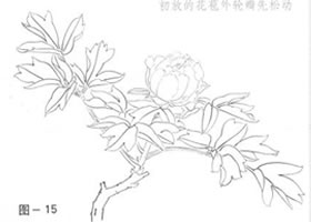 怎样画牡丹？