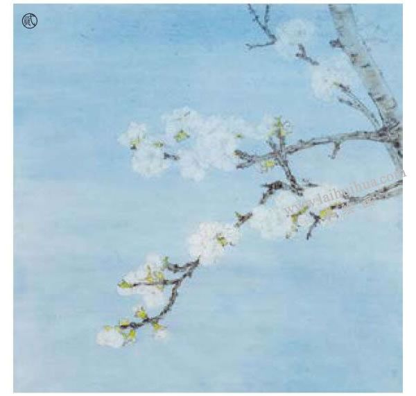 杏花工笔画法步骤范例02