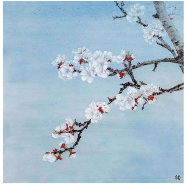 杏花工笔画法步骤范例04