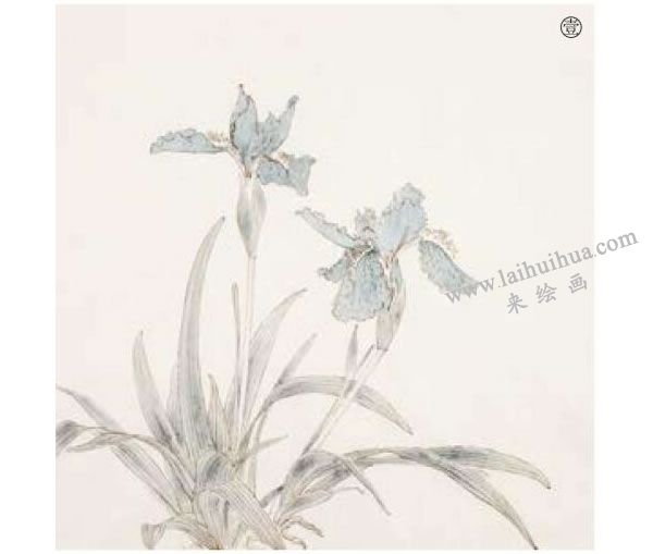 鸢尾工笔画法步骤范例01