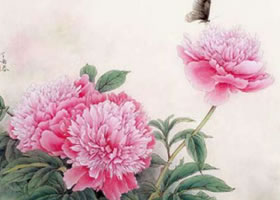 芍药工笔画法（二）