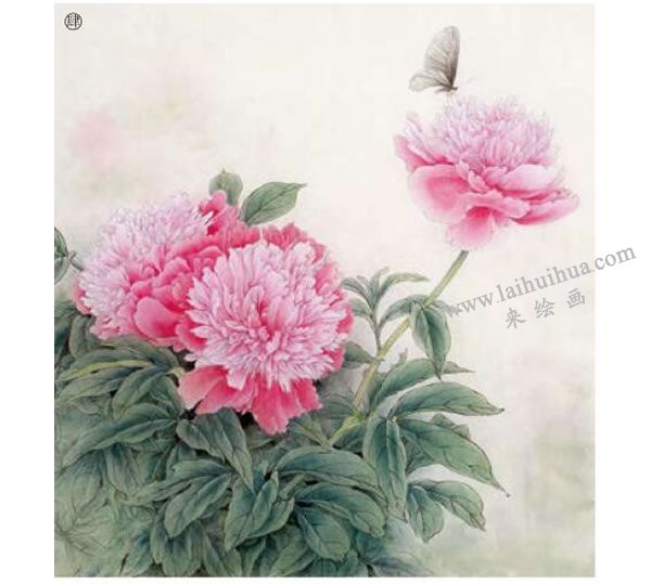 芍药工笔画法步骤范例图示04