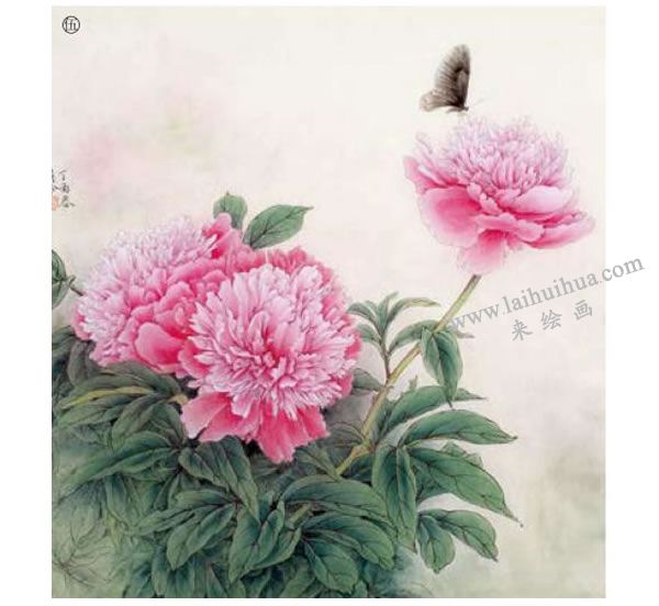 芍药工笔画法步骤范例图示05
