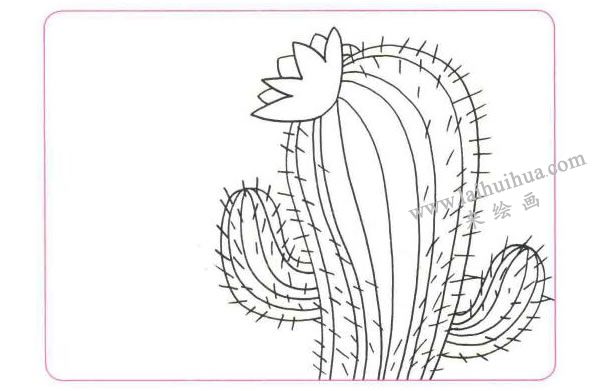 开在沙漠里的花儿童线描画法步骤01