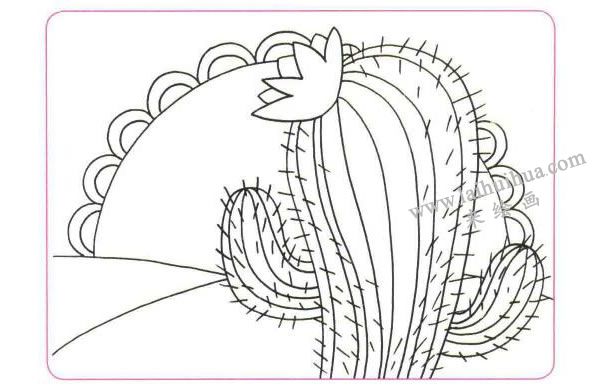 开在沙漠里的花儿童线描画法步骤02
