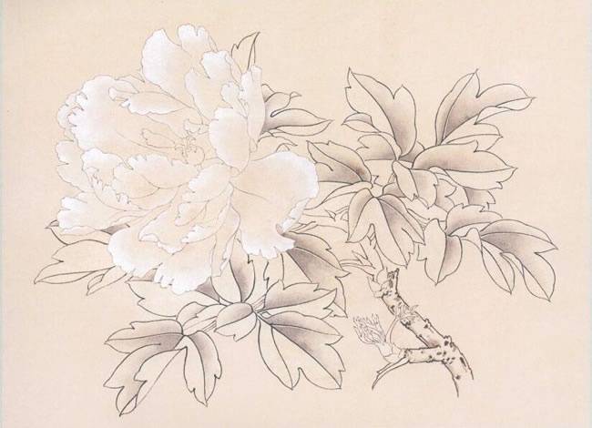 “元白”牡丹的画法