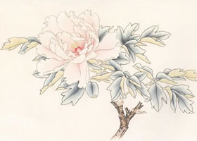 “赵粉”牡丹的画法