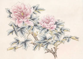“蓝田玉”牡丹的画法