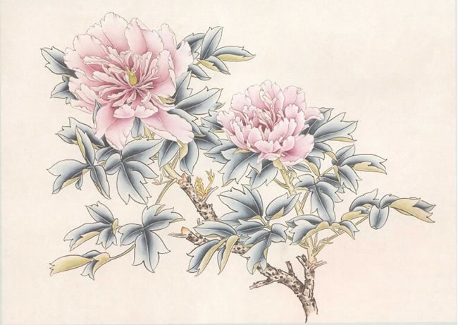 “蓝田玉”牡丹的画法