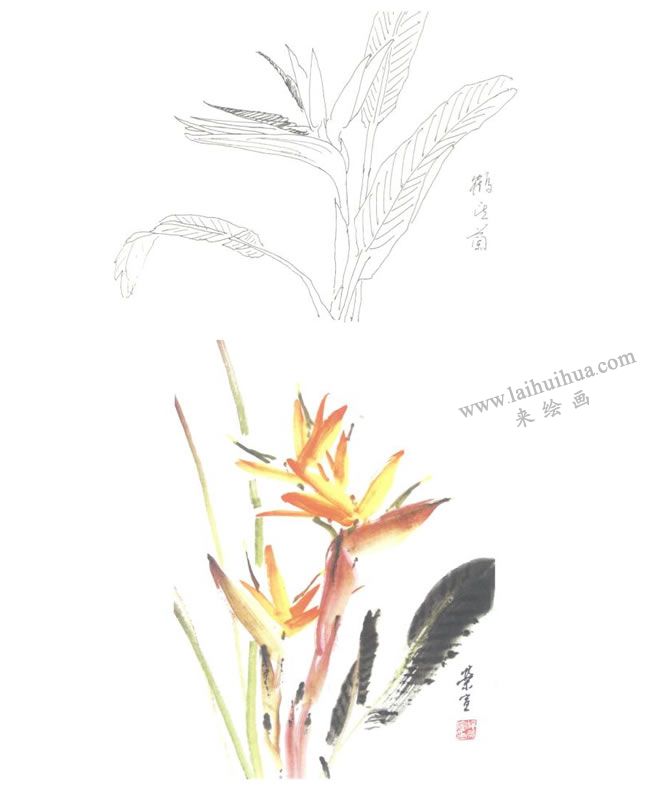鹤望兰写意画法图示