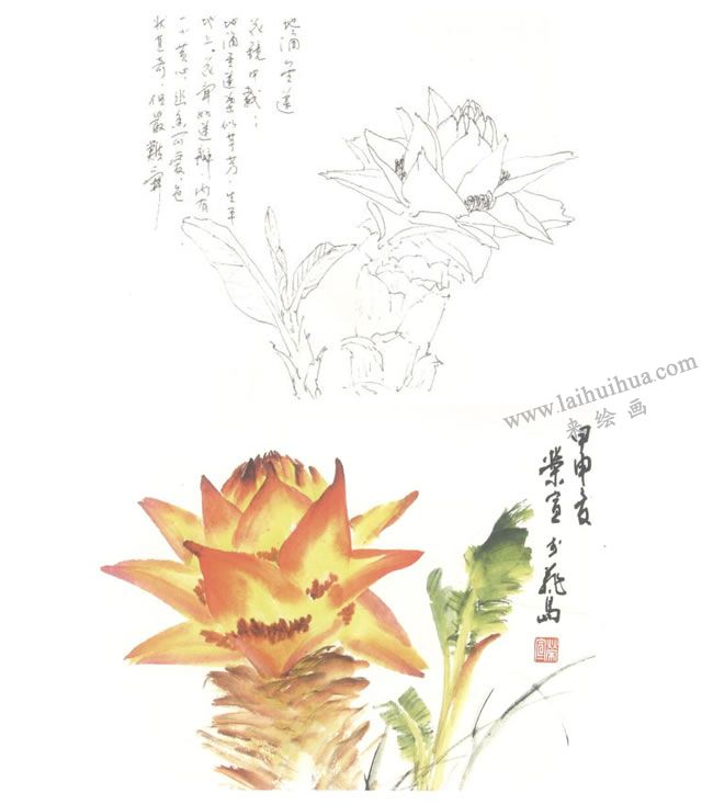 地涌金莲写意画法图示