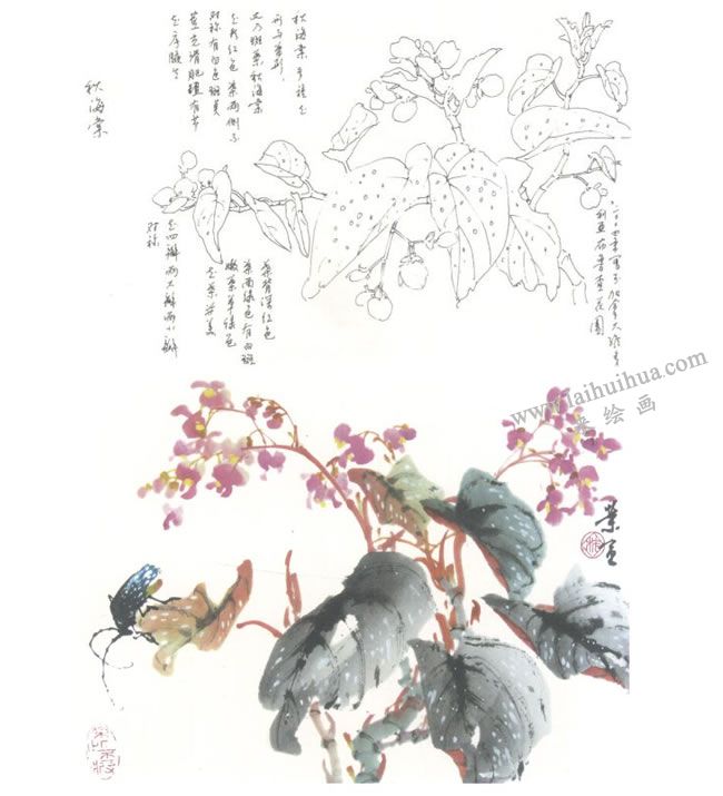 秋海棠写意画法图示