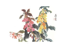 凤仙花写意画法