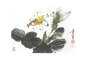 玉簪花写意画法