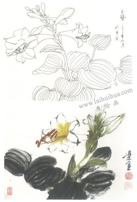 玉簪花写意画法