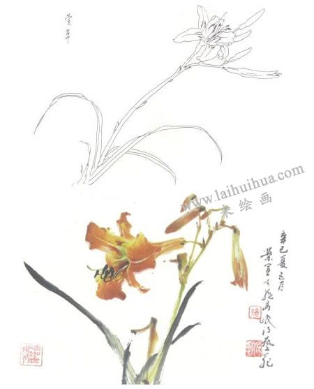 萱花写意画法