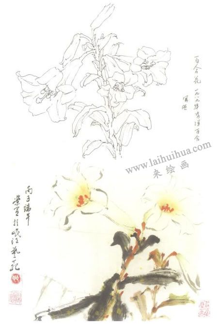 百合花写意画法