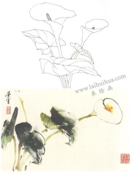 马蹄莲写意画法