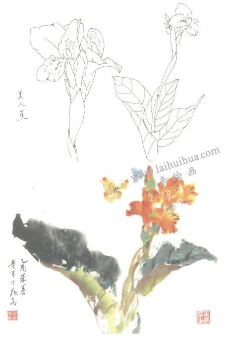 美人蕉写意画法