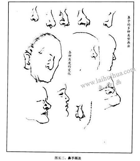 鼻子画法