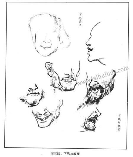 下巴与颜面