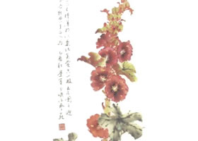 蜀葵写意画法