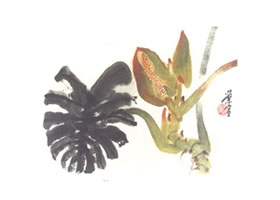 龟背竹写意画法