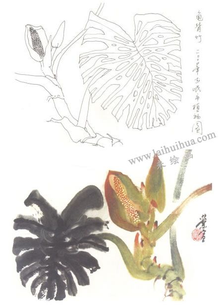 龟背竹写意画法