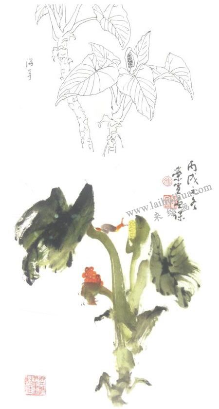 海芋写意画法