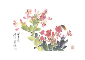 紫茉莉写意画法