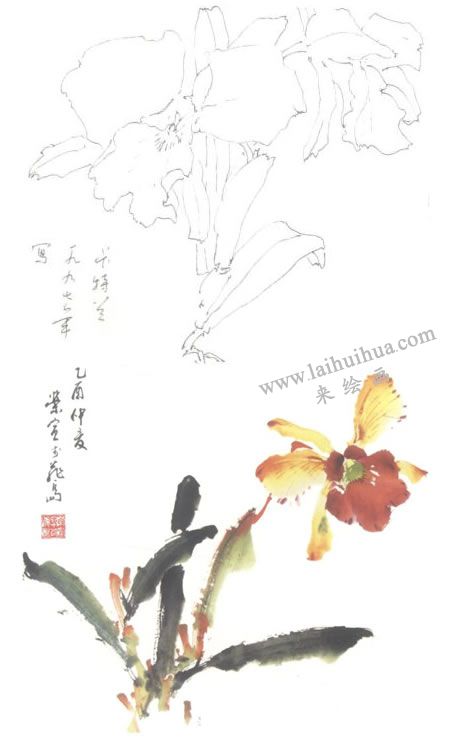 胡姬花写意画法