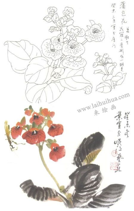 荷包花写意画法