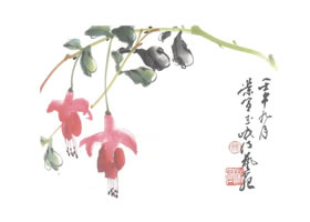 吊钟海棠写意画法