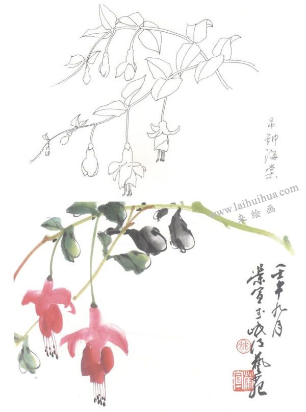 吊钟海棠写意画法