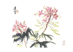 醉蝶花写意画法