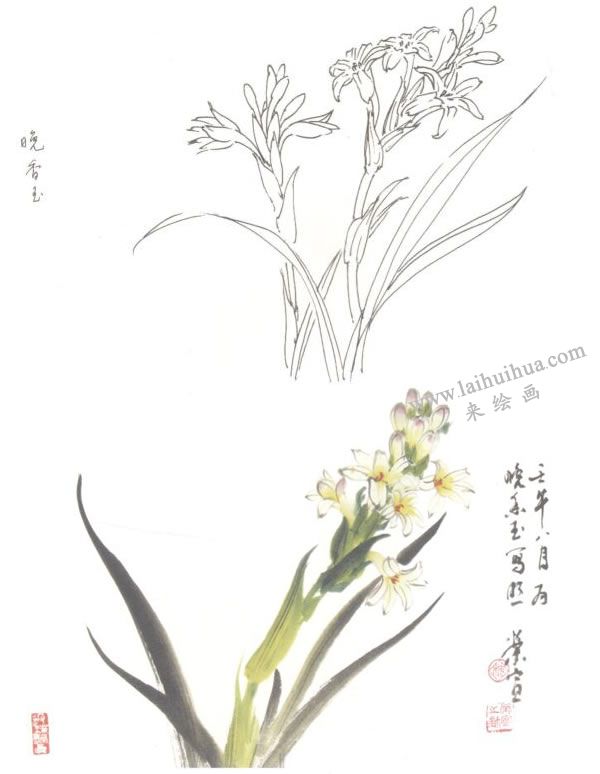 晚香玉写意画法