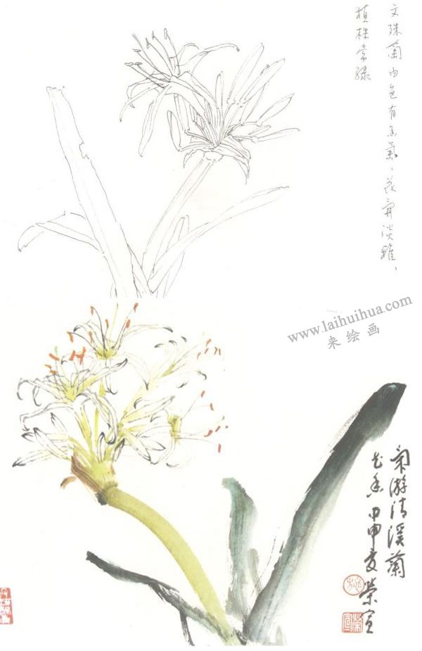 文殊兰写意画法