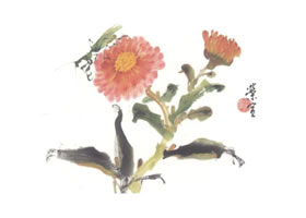 金盏花写意画法