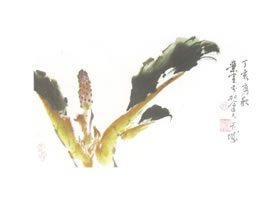 万年青写意画法