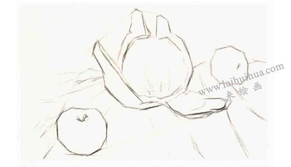 结构素描表现步骤：具体形体阶段