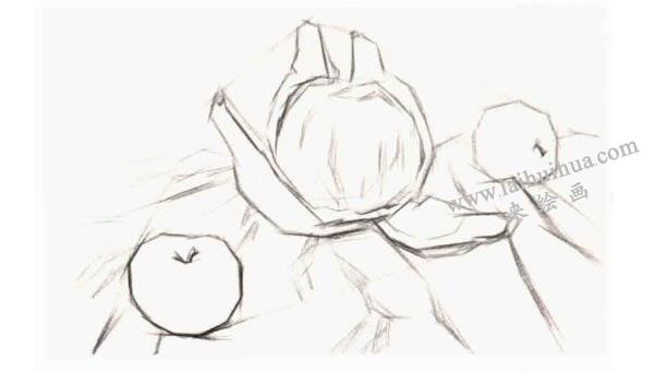 结构素描表现步骤：铺大关系阶段