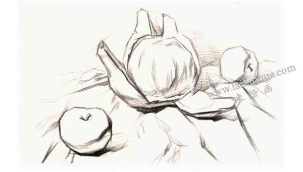 结构素描表现步骤：深入阶段
